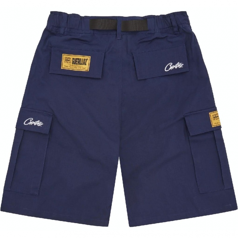 Corteiz Alcatraz Cargo Broek Donkerblauw | RHID-85491